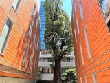 カスタリア西麻布霞町 カスタリア西麻布霞町5