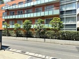 カスタリア西麻布霞町 カスタリア西麻布霞町8