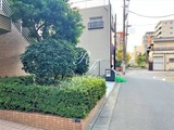 カッシア錦糸町サウスコート カッシア錦糸町サウスコート6