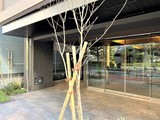 ヴィークブライト月島 ヴィークブライト月島10
