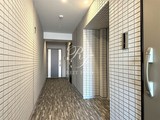 ティモーネプレミアムノルド亀戸 共用部 物件画像2