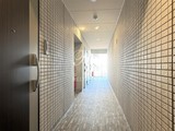 ティモーネプレミアムノルド亀戸 共用部 物件画像3