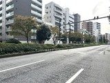 ドミール青柳 ドミール青柳4