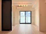 ルネサンスコート築地 1DK・1LDK 物件画像4
