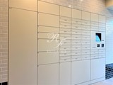 オルタナ亀戸2 ALTERNA亀戸Ⅱ20