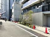 プライムアーバン浅草テラス ルフォンプログレ浅草テラス8