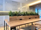 プライムアーバン浅草テラス 共用部 物件画像5