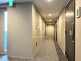 シーズンフラッツ住吉 共用部 物件画像20
