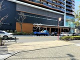 ザ・パークハビオ渋谷クロス ザ・パークハビオ渋谷クロス8