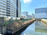 ウエリスアーバン水天宮前 ウエリスアーバン水天宮前8