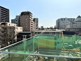 アジールコート品川中延サウス 1DK・1LDK 物件画像20
