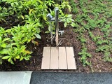パークアクシス錦糸公園 パークアクシス錦糸公園14