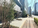 リビオメゾン門前仲町リプル リビオメゾン門前仲町リプル16