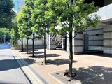 パークキューブ愛宕山タワー パークキューブ愛宕山タワー10