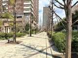 ロイヤルパークスタワー南千住 ロイヤルパークスタワー南千住16
