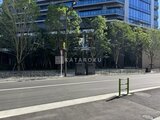 グランドシティタワー月島 緑豊かな街路樹のある前面道路から見た建物外観