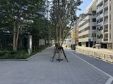 グランドシティタワー月島 敷地内の足元がはっきり見える広々とした歩道とモダン建築