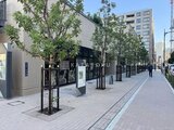 グランドシティタワー月島 緑の植栽が配置された開放的な共用通路の様子