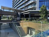 グランドシティタワー月島 モダンな建物と緑が調和した開放的なエントランスアプローチ