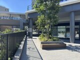 グランドシティタワー月島 緑のあるモダンなエントランスアプローチと共用施設の様子