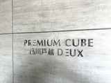 プレミアムキューブ品川戸越DEUX プレミアムキューブ品川戸越DEUX15