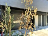 アルコバレーノ錦糸町 アルコバレーノ錦糸町12