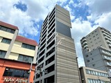 ズーム大島 ズーム大島1