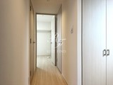 ディアレイシャス錦糸町 1R・1K 物件画像1