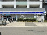 カスタリア住吉2 カスタリア住吉Ⅱ8