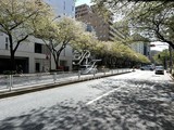 グランディオール広尾テラス グランディオール広尾テラスのイメージ写真⑤