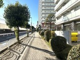 パークアクシス東陽町 パークアクシス東陽町のイメージ写真⑫