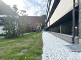 ジニア新宿中落合 共用部 物件画像1