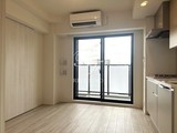 プラウドフラット墨田曳舟ディアージュ 1DK・1LDK 物件画像3