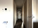 メアヌイ錦糸町 1DK・1LDK 物件画像18