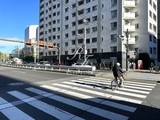 レニール本駒込 レニール本駒込8