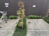 ケイブ湯島 外観