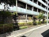 ザ・パークハビオ三軒茶屋 ザ・パークハビオ三軒茶屋のイメージ写真⑦