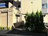 クレイシア三軒茶屋 クレイシア三軒茶屋のイメージ写真⑫