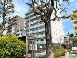 バウスフラッツ住吉 バウスフラッツ住吉4