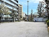 バウスフラッツ住吉 バウスフラッツ住吉7