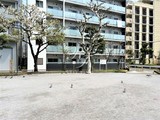 バウスフラッツ住吉 バウスフラッツ住吉9