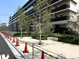パークアクシス品川南大井パークフロント パークアクシス品川南大井パークフロント17
