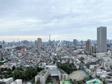 コンフォリア新宿イーストサイドタワー コンフォリア新宿イーストサイドタワー80