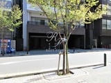 パークアクシス日本橋本町 パークアクシス日本橋本町7