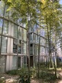 G-FLAT 竹林に囲まれたモダンな建物の外観