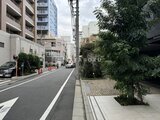クレイシア亀戸サウスコート 前面道路から見た建物周辺の緑のある街並み