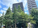 コンフォリア北参道 コンフォリア北参道5
