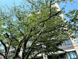 パークキューブ代々木富ヶ谷 パークキューブ代々木富ヶ谷2