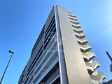 パークアクシス東陽町・親水公園 パークアクシス東陽町・親水公園2
