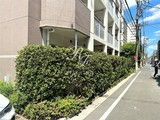 パークアクシス清澄白河 パークアクシス清澄白河6